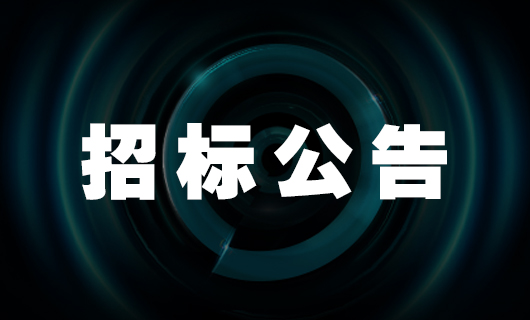 必一运动国际中心工程检测和监测服务招标公告